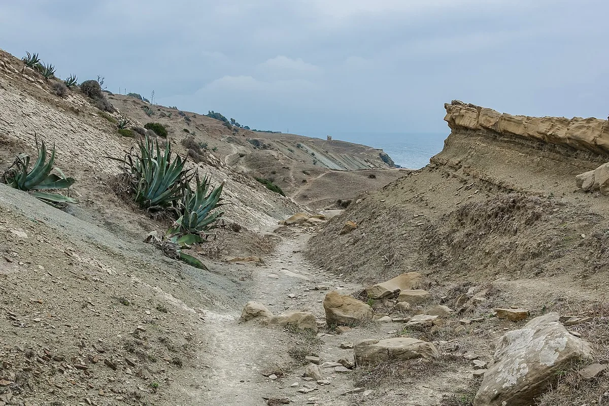 Algeciras Huila Colombia